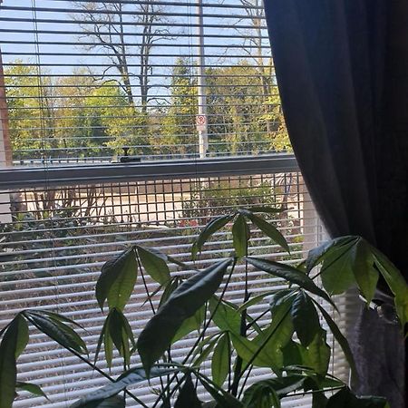 River View Apartment Suite Корк Екстериор снимка